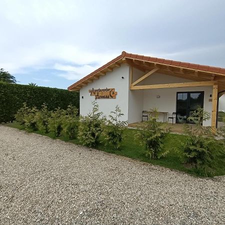 Apartamentos Aronces Cudillero Exteriér fotografie